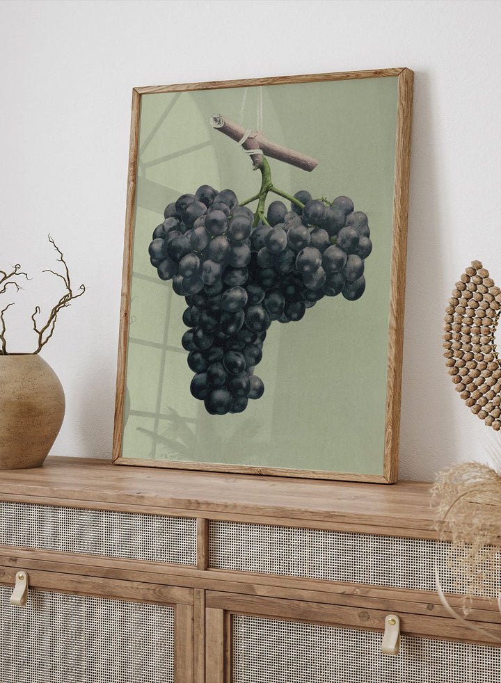"Prize Black Alicante Grapes" Art Print_Sugar & Canvas