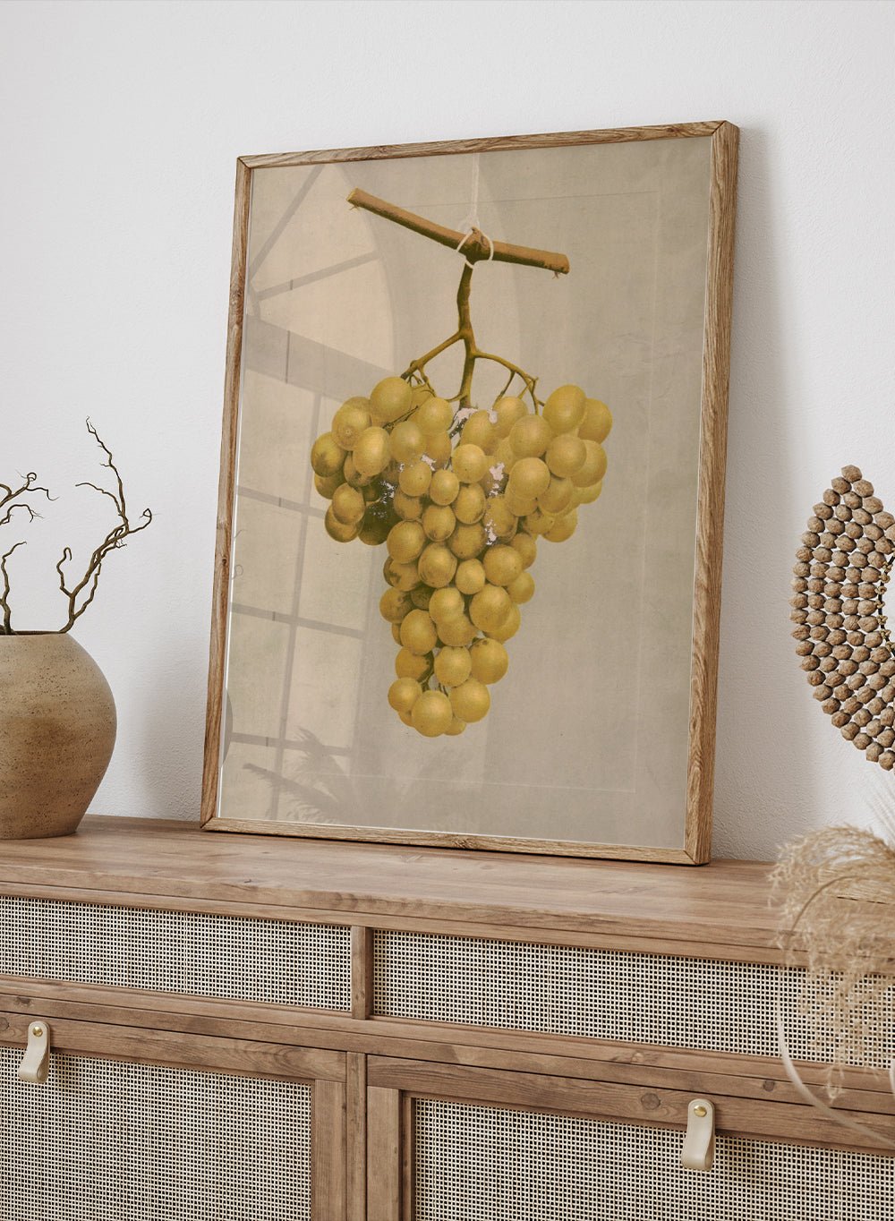 "Prize Golden Hamburg Grapes" Art Print_Sugar & Canvas