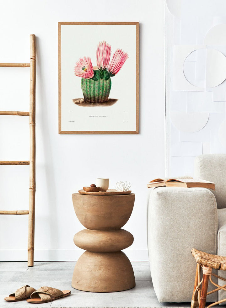 Rainbow Cactus Vintage Art Print BA28_Sugar & Canvas