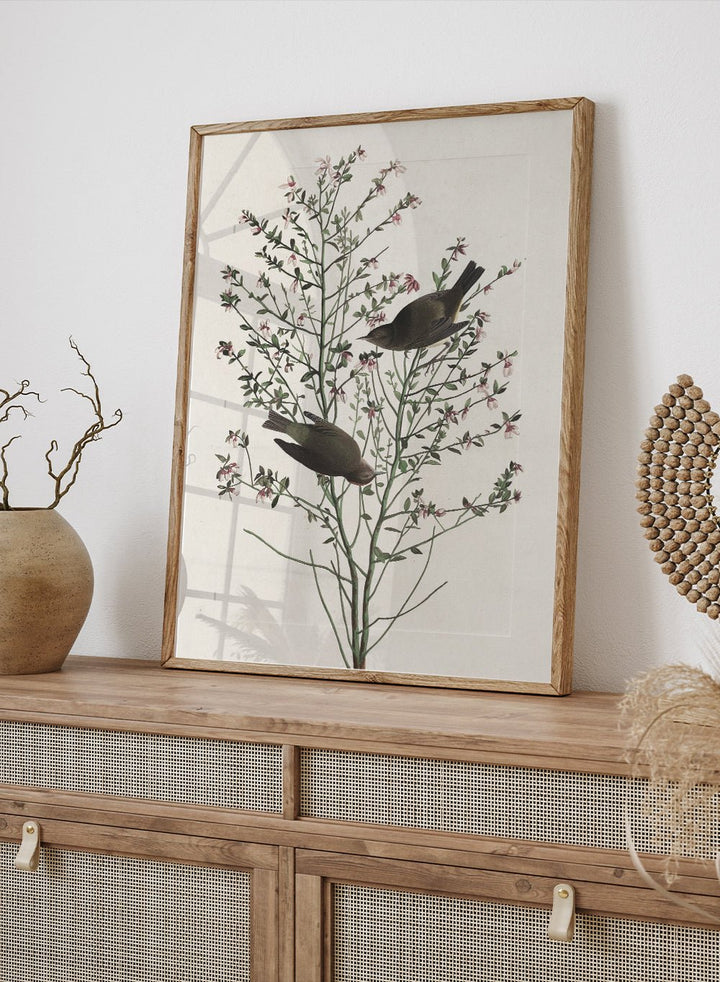 "Orange - crowned Warbler" Art Print_Sugar & Canvas