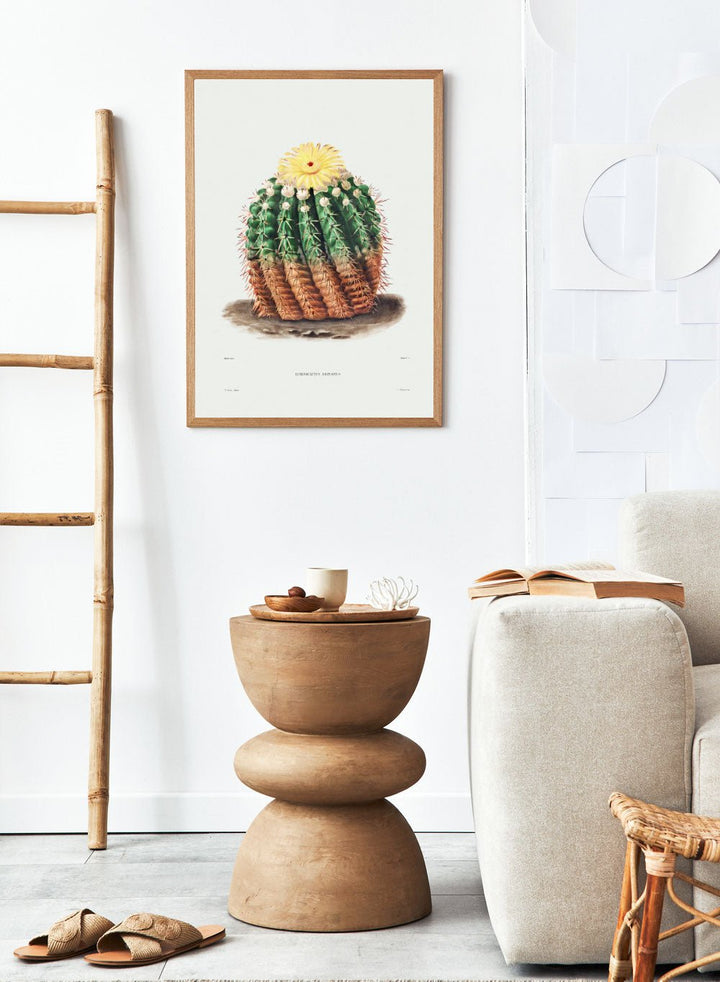 Golden Barrel Cactus Vintage Art Print BA30_Sugar & Canvas