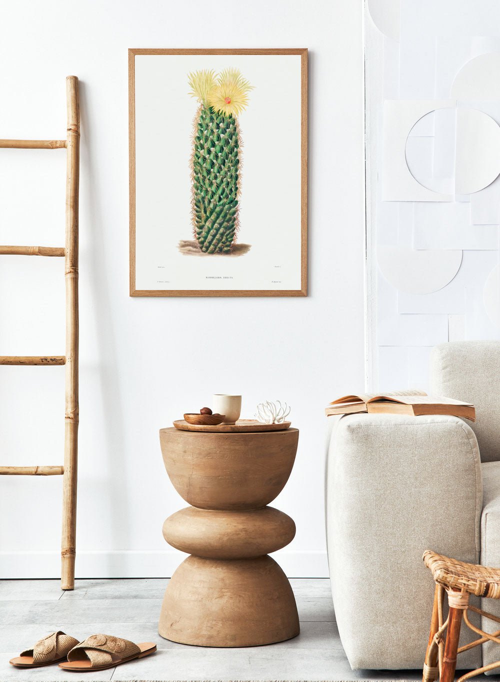 Hedgehog Cactus Vintage Art Print BA29_Sugar & Canvas