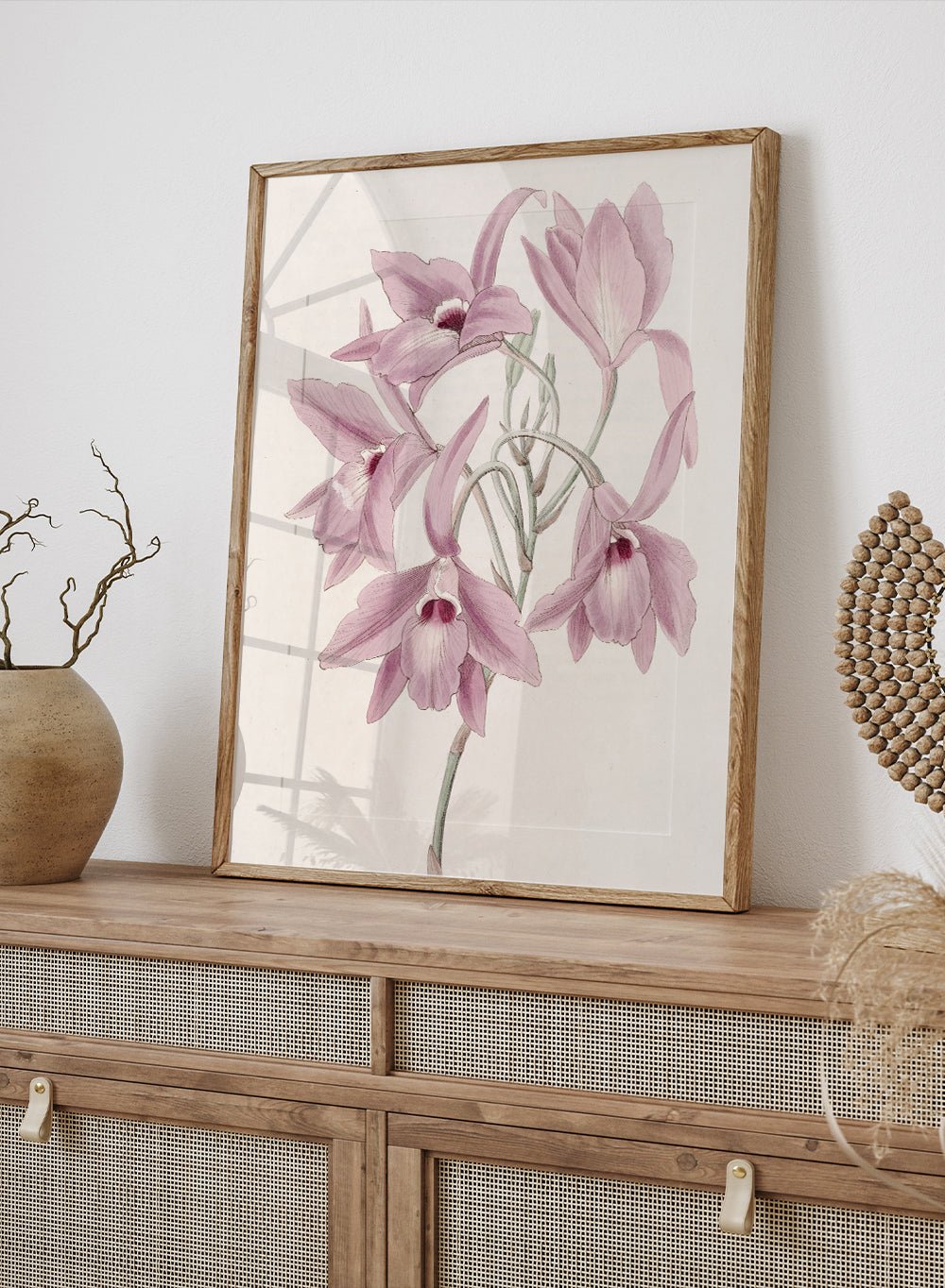 "Long - stalked Laelia" Art Print_Sugar & Canvas