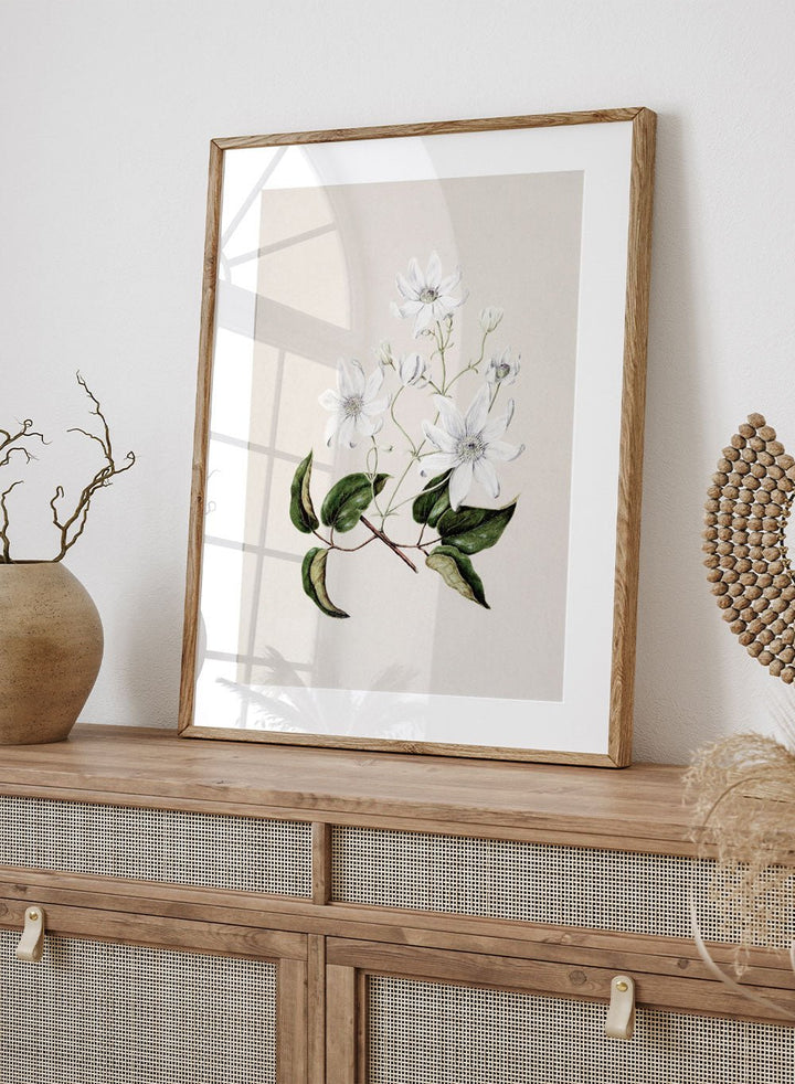 "Puawananga: Clematis Indivisa" Art Print_Sugar & Canvas
