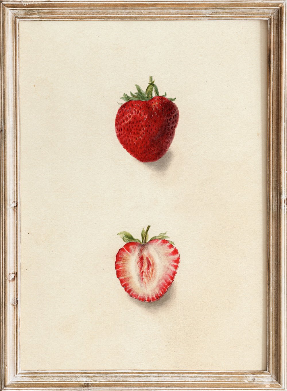 "Strawberries" Art Print_Sugar & Canvas