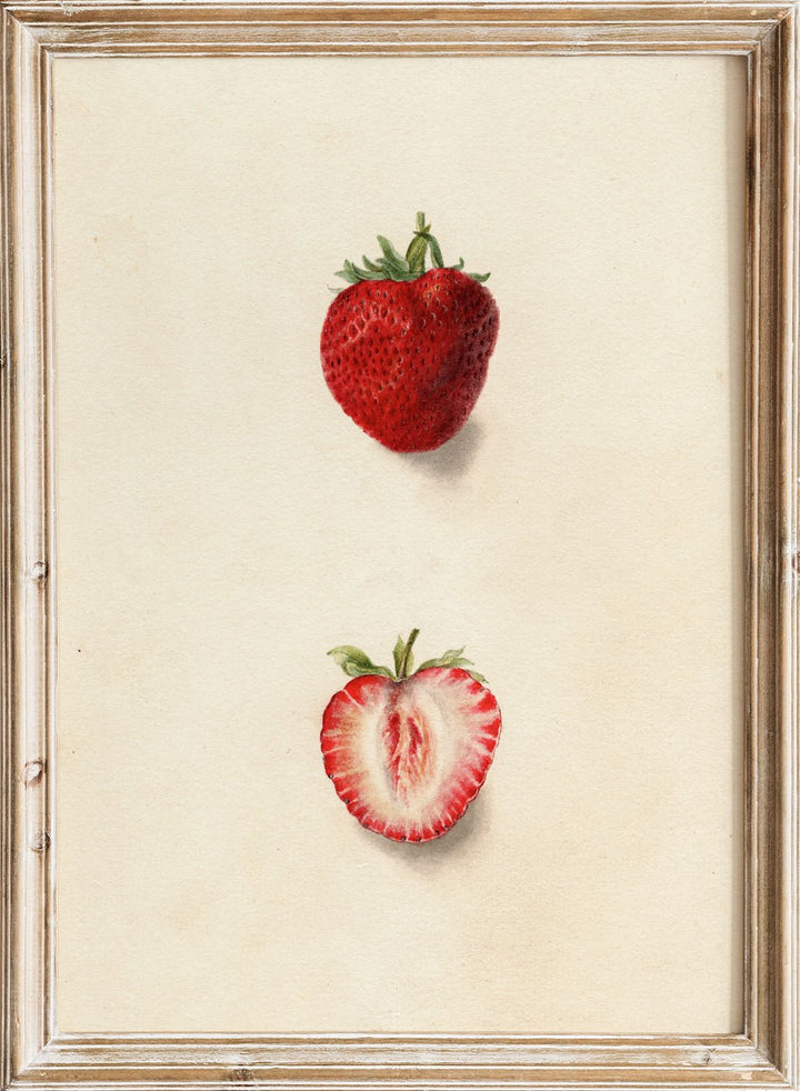 "Strawberries" Art Print_Sugar & Canvas