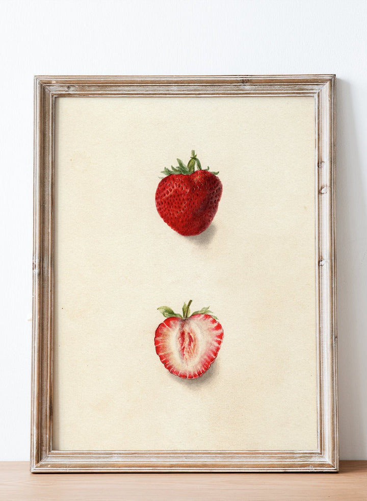 "Strawberries" Art Print_Sugar & Canvas