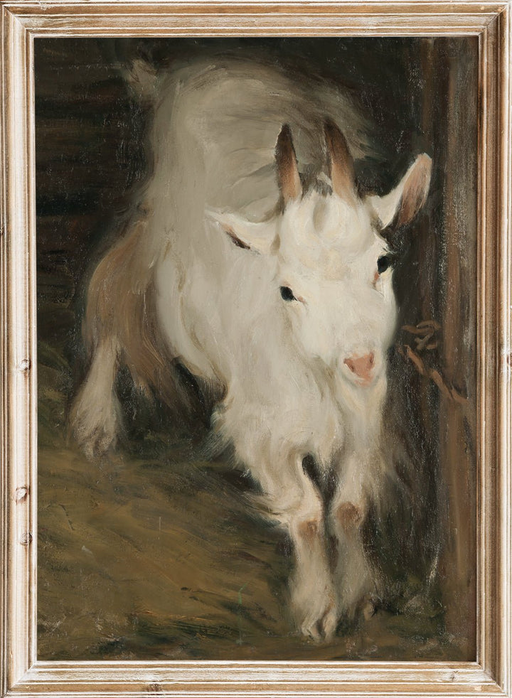 "He - Goat" Art Print_Sugar & Canvas