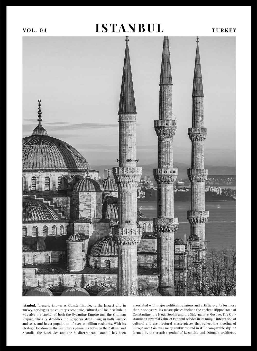 Blue Mosque Istanbul Black and White Travel Art Print_Sugar & Canvas