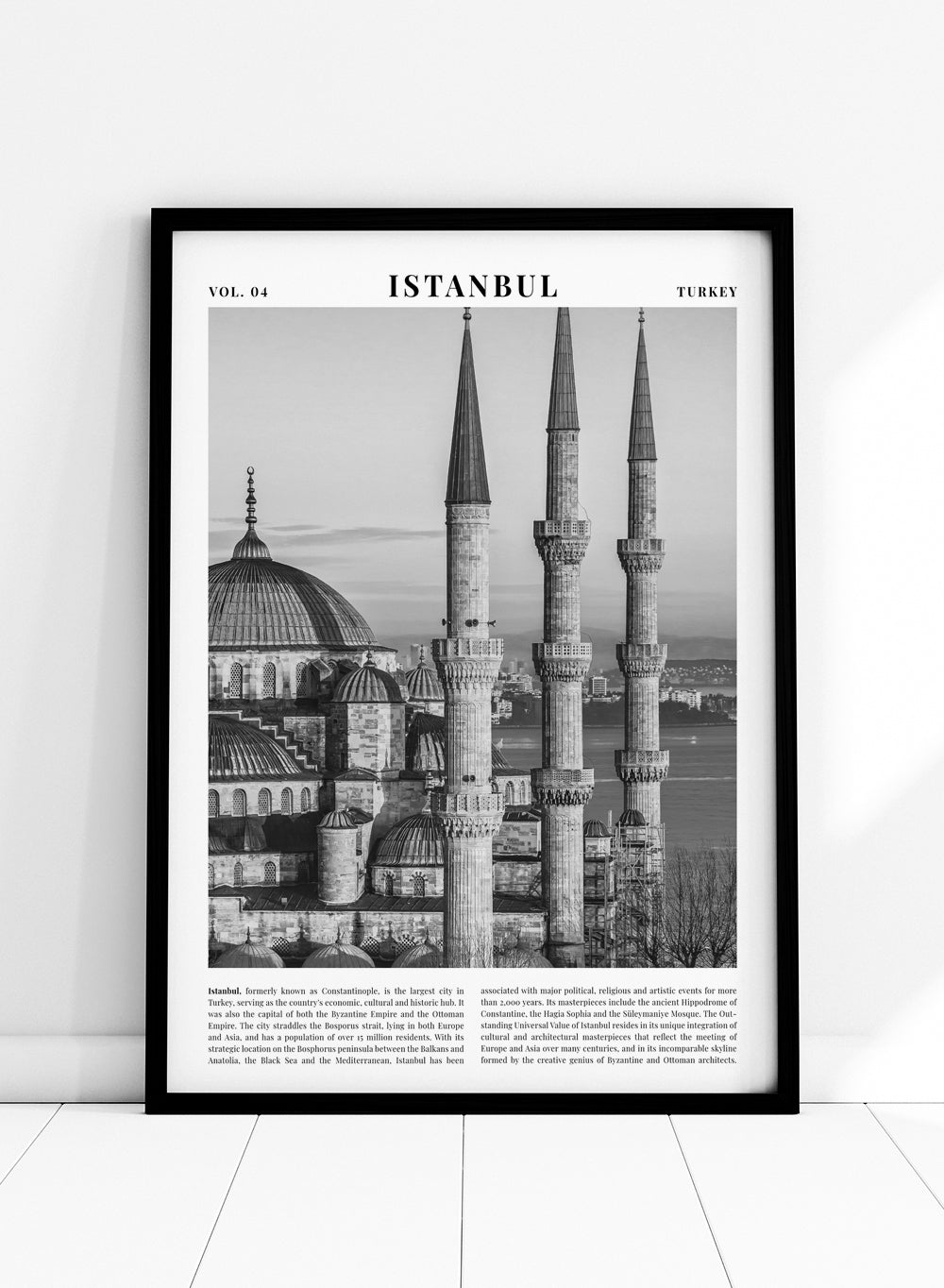 Blue Mosque Istanbul Black and White Travel Art Print_Sugar & Canvas