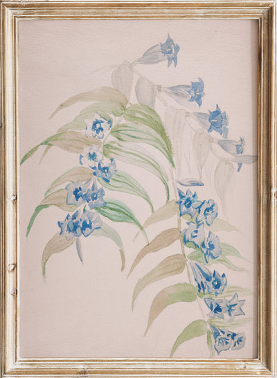 Jadwiga Gałęzowska - Twigs with blue flowers, Vintage Blue Flowers Botanical Still Life Wall Art Print | Neutral Wildflower Floral Plant Painting, Watercolor Minimalist Farmhouse