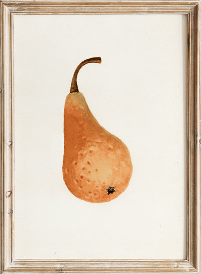 James Marion Shulln- Pyrus communis Bosc (1941), Vintage Pear Fruit Still Life Wall Art Print | Minimal Botanical Food Watercolor Painting Poster, Rustic Kitchen, Moody Farmhouse