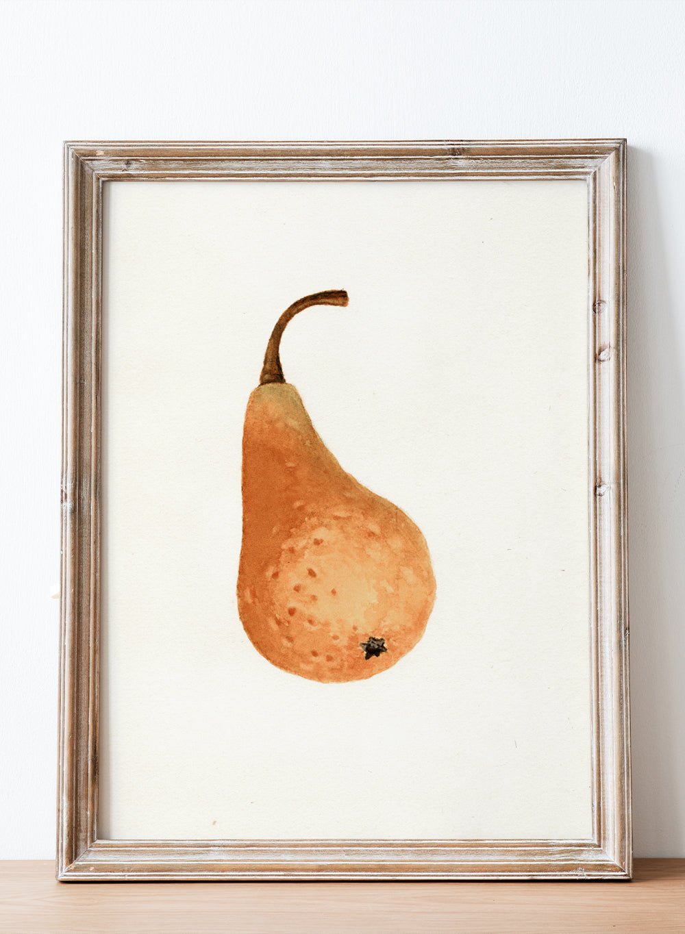 "Bosc Pear" Art Print_Sugar & Canvas