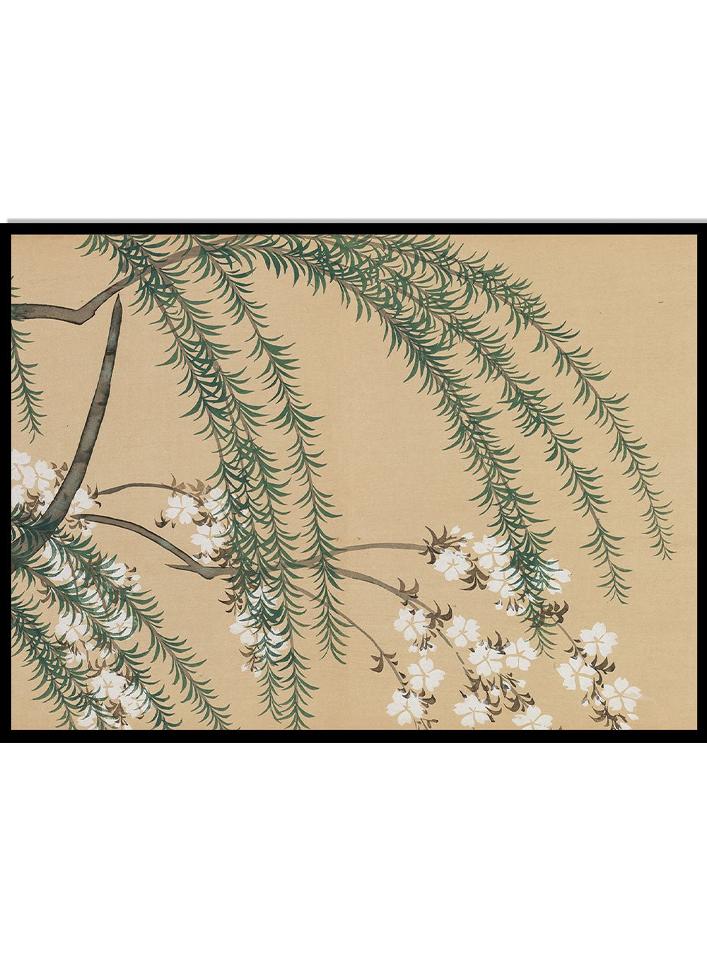 Kamisaka Sekka "Willow and Cherry" Art Print_Sugar & Canvas