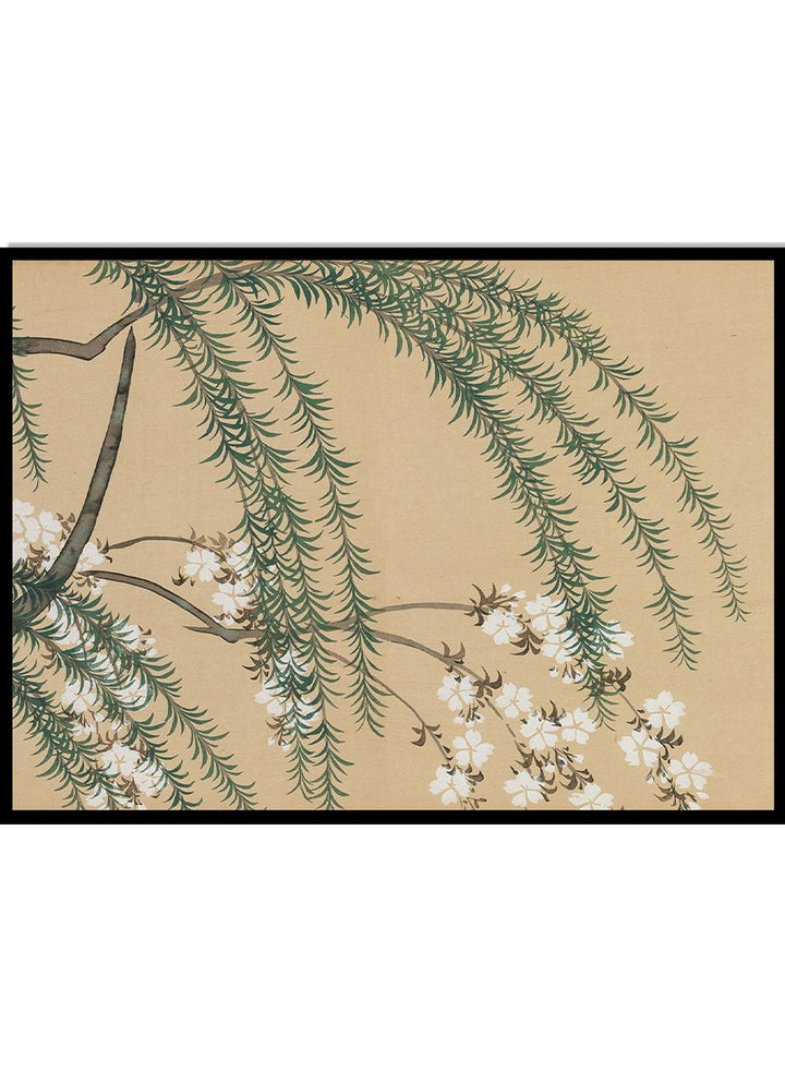 Kamisaka Sekka "Willow and Cherry" Art Print_Sugar & Canvas