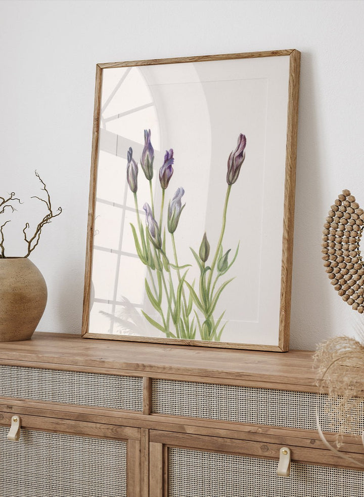 "Gentian" Art Print_Sugar & Canvas