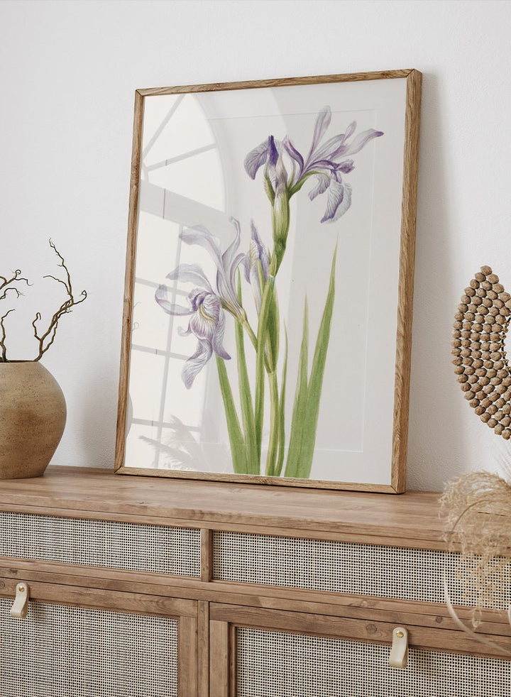 "Western Blue Flag" Art Print_Sugar & Canvas