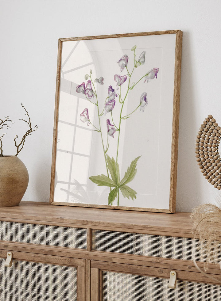 "Western Monkshood" Art Print_Sugar & Canvas