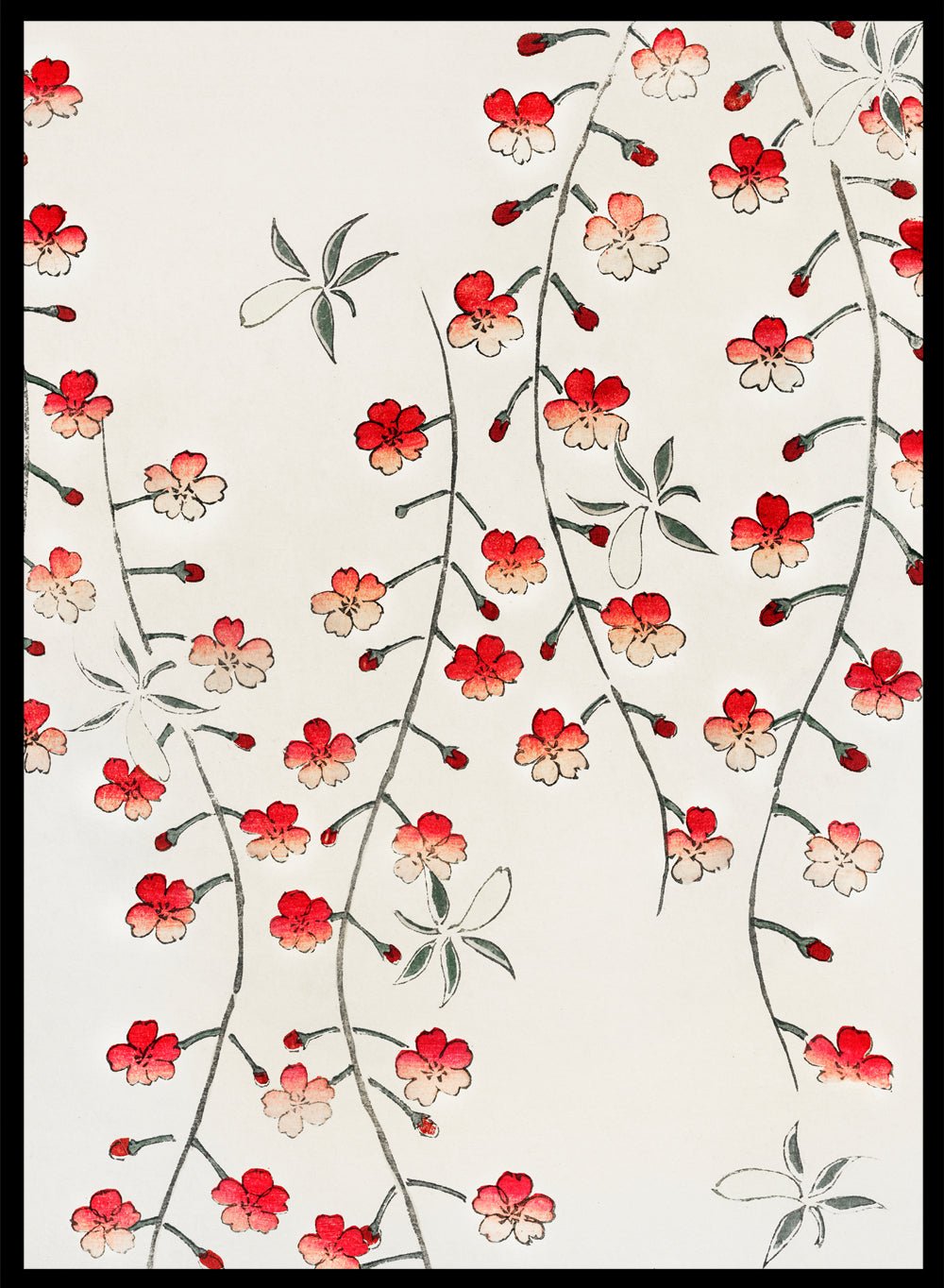 Watanabe Seitei Cherry Blossom Art Print_Sugar & Canvas