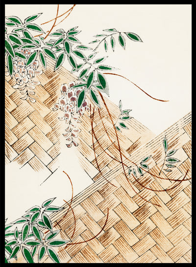 Watanabe Seitei Wisteria Illustration from Bijutsu Sekai Vintage Japanese Woodblock Art Print | Japanese Art, Japanese Poster 渡辺省亭美術世界