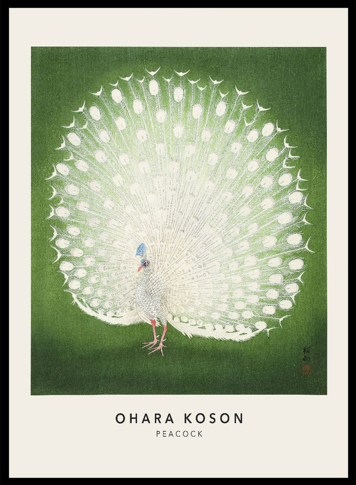 Ohara Koson "Peacock" Art Print_Sugar & Canvas