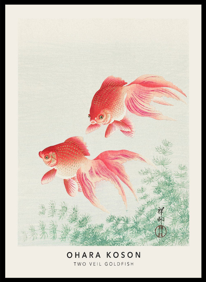 Ohara Koson "Two Veil Goldfish" Art Print_Sugar & Canvas