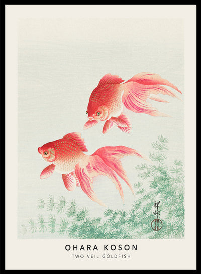 Ohara Koson Two Veil Goldfish Vintage Japanese Woodblock Poster Wall Art Print | 小原古邨, Red Retro Japanese Asian Antique Animal Decor