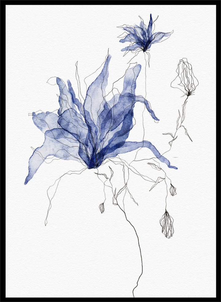 Abstract botanical art print featuring layered, semi-transparent blue flower silhouettes with fine black sketch lines on a white background. Shop Indigo Watercolor Florals by Ankie Kooi, a floral wall art print poster with blue watercolor flowers, botanical line art, buds, and white background.