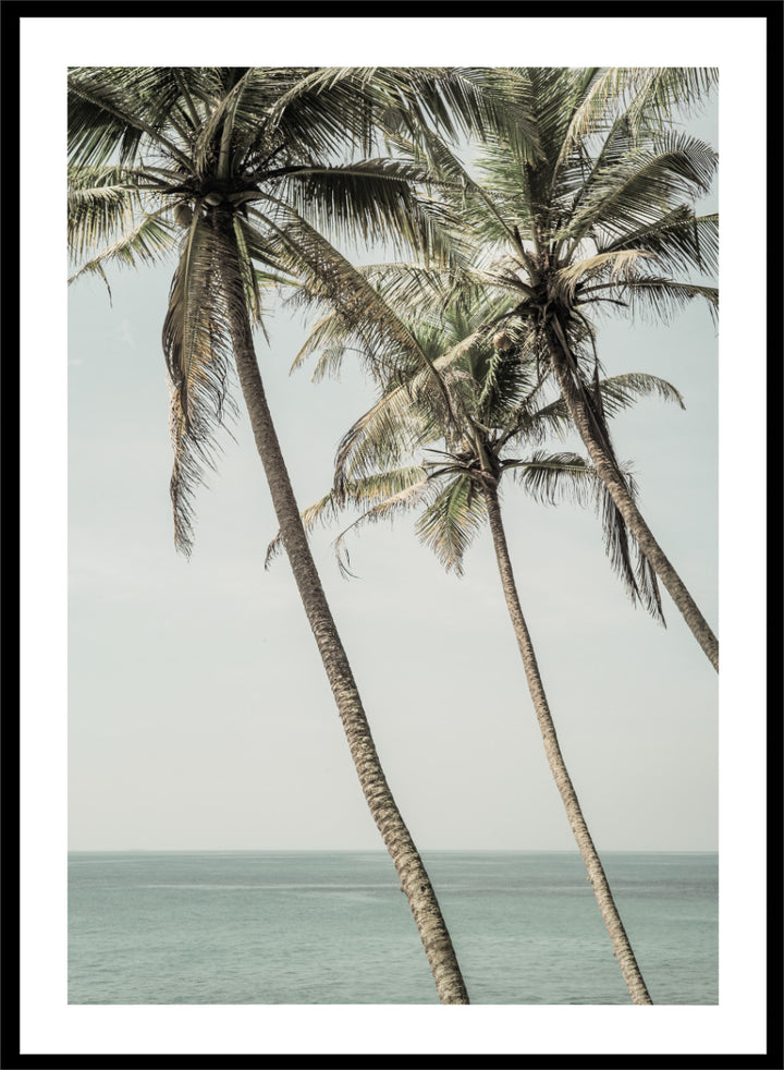 A framed art print featuring three leaning palm trees against a pale sky and ocean horizon. Ocean Breeze Palms by Shot by Clint coastal art print featuring tall palm trees, soft blue ocean views, and an airy tropical landscape.