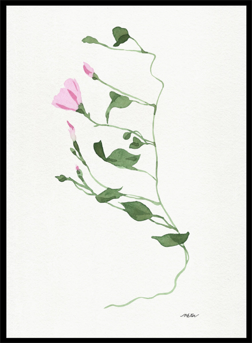 Shop Graceful Pink Stem by NKTN, a botanical wall art print poster featuring a delicate climbing vine, soft pink flowers, and minimalist watercolor style.