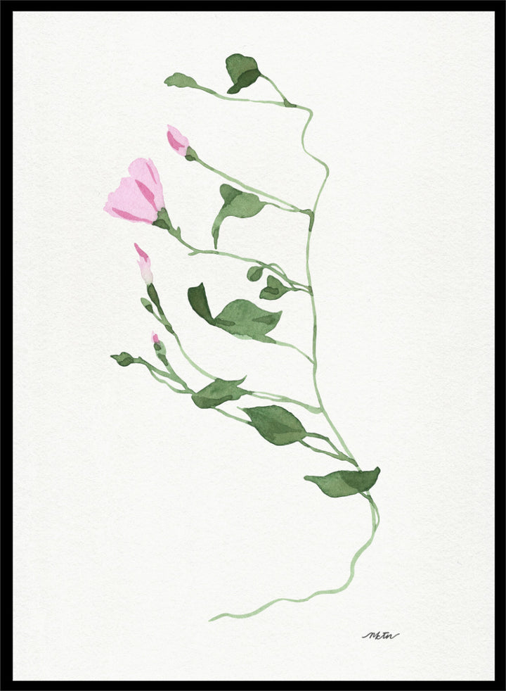 Shop Graceful Pink Stem by NKTN, a botanical wall art print poster featuring a delicate climbing vine, soft pink flowers, and minimalist watercolor style.