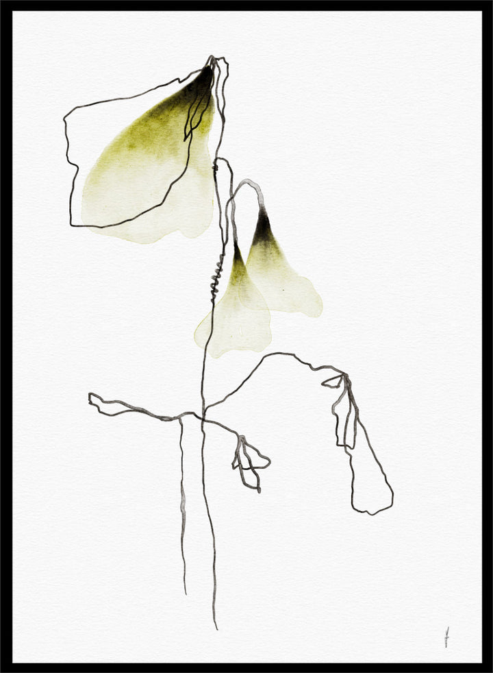 Shop Delicate Olive Blooms by Ankie Kooi, a botanical wall art print poster with abstract floral line art, watercolor flowers, green, cream, and black.