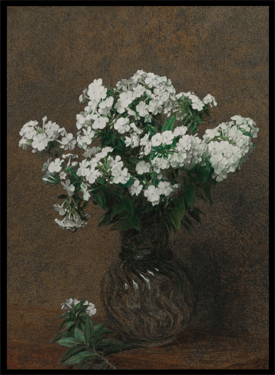 Shop White Phlox in a Vase by Henri Fantin-Latour, a vintage floral wall art print poster featuring a full bouquet of white phlox against a rich brown background.