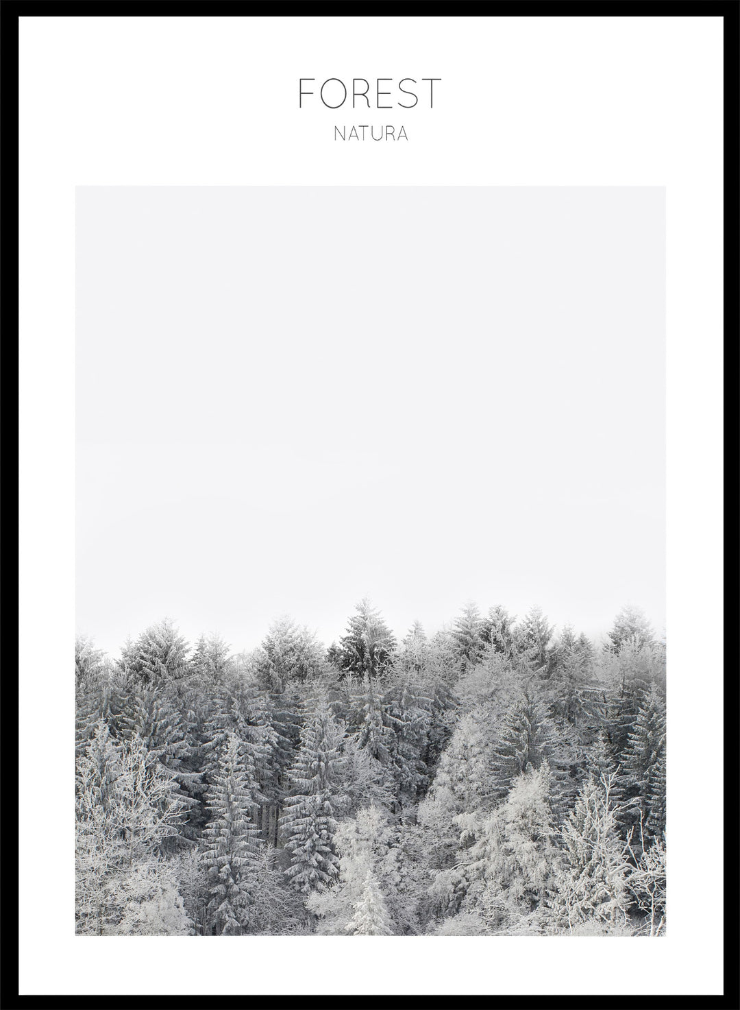 Black and white forest landscape with 'FOREST' and 'Natura' text at the top. Frosted Tranquility by The MIUUS Studio is a black and white forest photography art print and wall poster featuring snowy trees, minimalist composition, and modern neutral design.