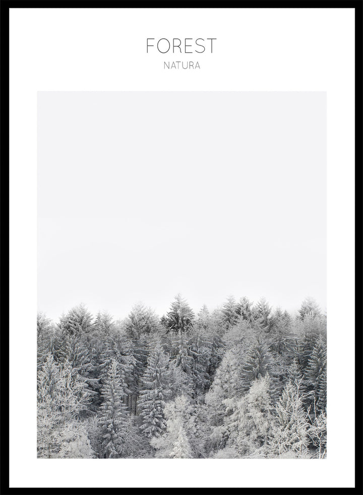 Black and white forest landscape with 'FOREST' and 'Natura' text at the top. Frosted Tranquility by The MIUUS Studio is a black and white forest photography art print and wall poster featuring snowy trees, minimalist composition, and modern neutral design.
