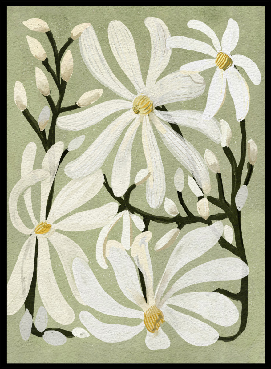 A botanical art print featuring white magnolia flowers with yellow centers and dark green stems on a muted sage green background. Shop Star Magnolia Floral Art Print by Katie O&