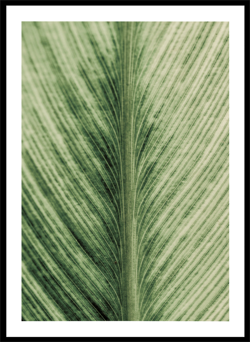 A framed botanical art print featuring a close-up photograph of a green leaf with prominent veins. Verdant Veins by Shot by Clint botanical photography print featuring detailed green leaf veins, natural texture, and layered organic pattern.