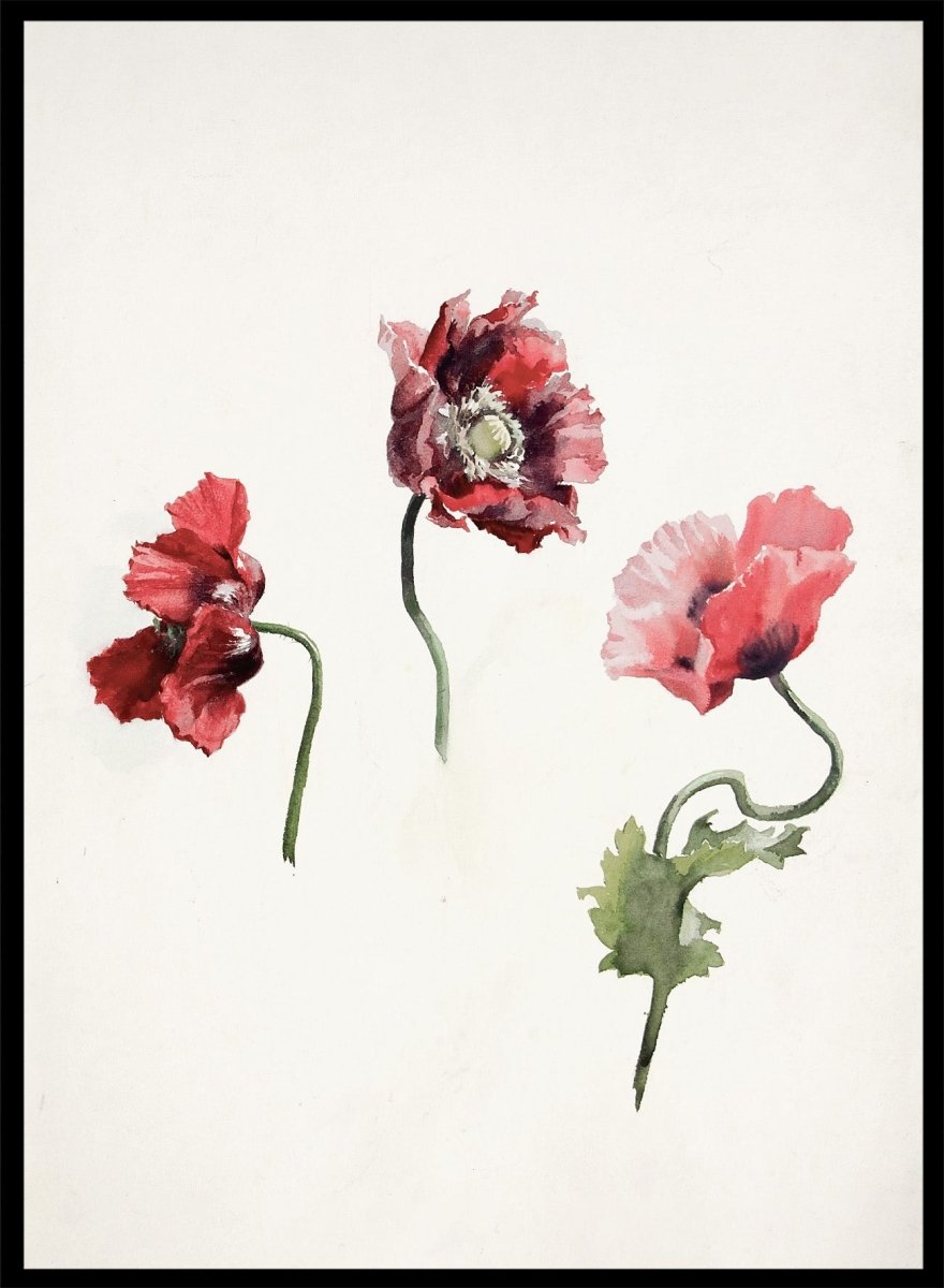 18-19th Century Vintage Still Life & Botanical Art Prints – Page 2