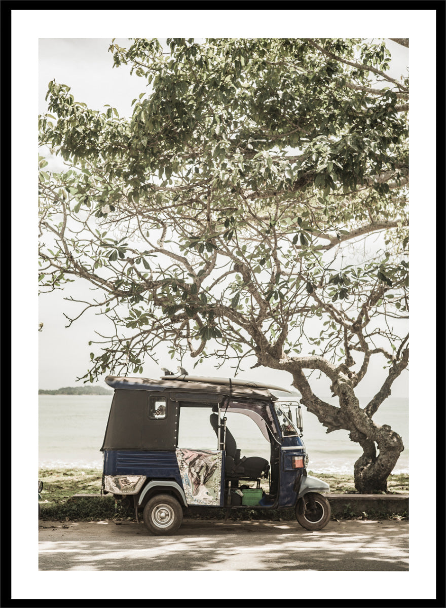 A framed photographic print featuring a small blue and white auto rickshaw parked under a large leafy tree beside a body of water. Tuk Tuk Tour by Shot by Clint travel photography print featuring a blue tuk tuk, surfboard, coastal tree, and relaxed seaside setting.