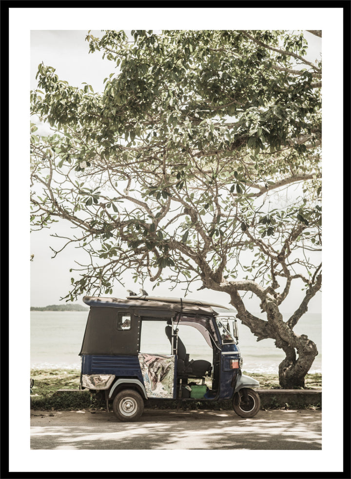 A framed photographic print featuring a small blue and white auto rickshaw parked under a large leafy tree beside a body of water. Tuk Tuk Tour by Shot by Clint travel photography print featuring a blue tuk tuk, surfboard, coastal tree, and relaxed seaside setting.