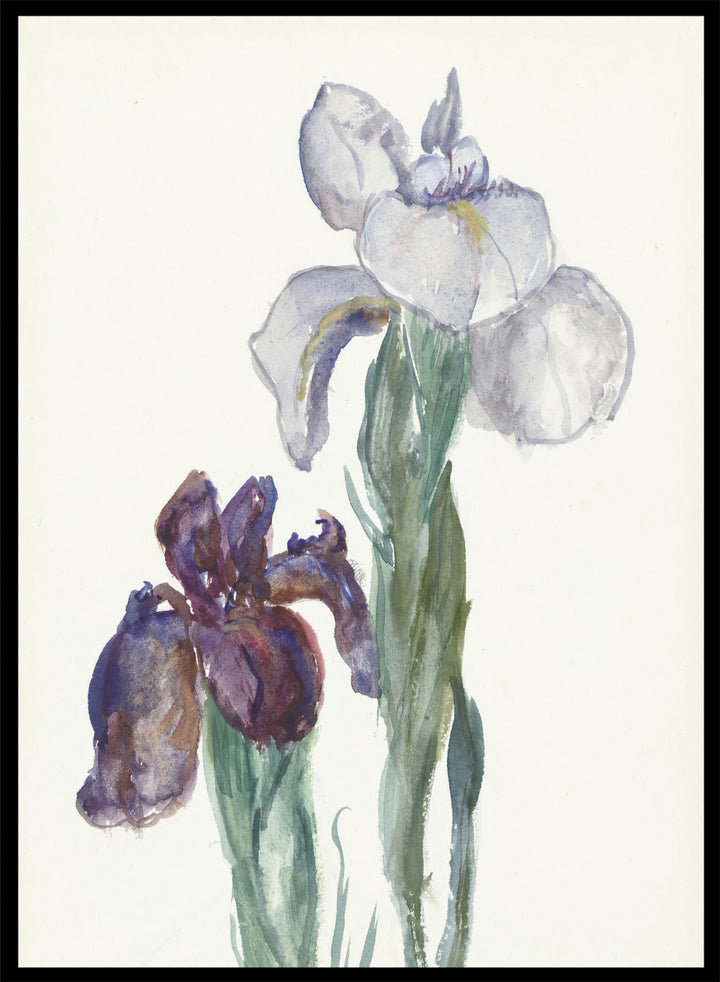 Irises by Sientje Mesdag-van Houten is a vintage botanical watercolor print of purple and white iris flowers, a soft floral piece for wall art and home decor.