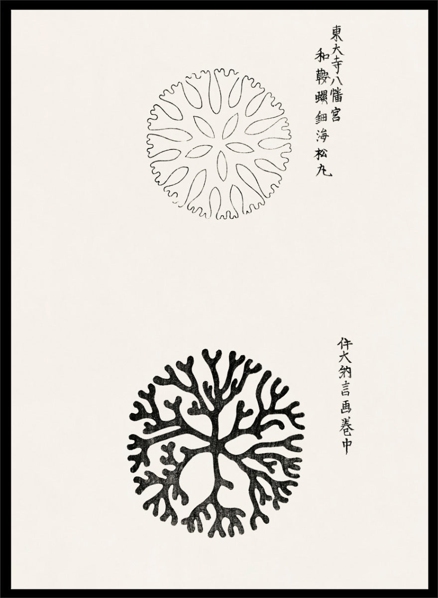 Mirumaru Yatsuo no Tsubaki by Taguchi Tomoki is a vintage Japanese woodblock art print featuring the traditional Mirumaru seaweed motif and original Japanese script.