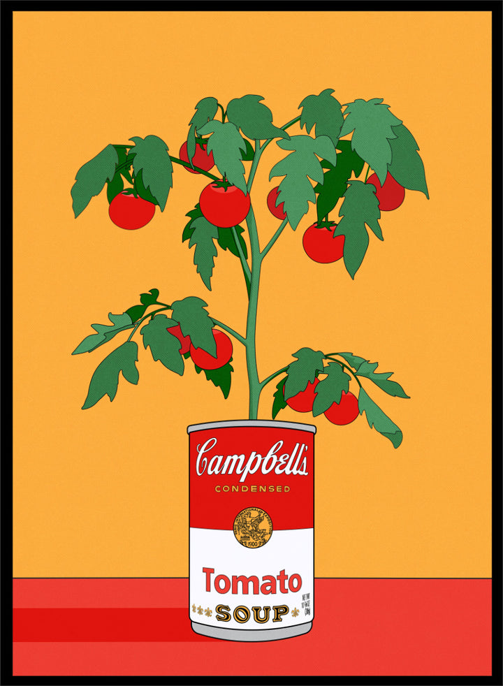 A stylized pop-art illustration of a tomato plant growing out of a Campbell&