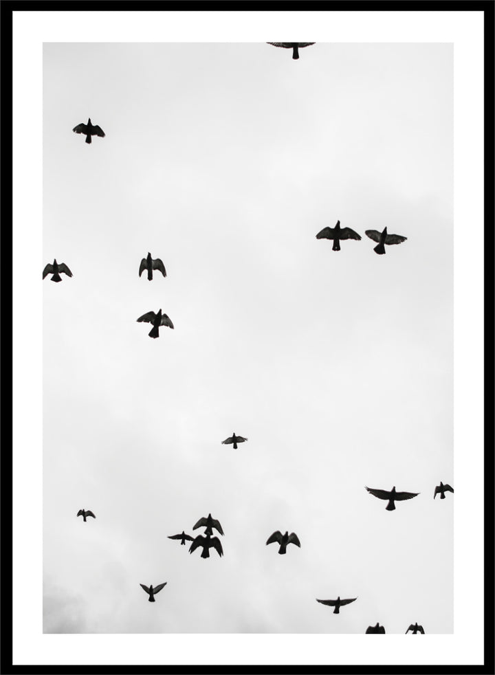 A framed black and white art print depicting a flock of birds flying across a cloudy sky, presented in a minimalist look. Birds in Flight by Shot by Clint black-and-white bird photography print featuring a scattered flock, open sky, and graphic silhouettes in motion.