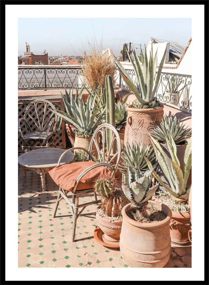 Potted plants on a balcony with a cityscape in the background. Moroccan Cactus Patio by Henrike Schenk captures a Moroccan rooftop terrace with cacti, terracotta pots, and desert-inspired photography wall art.