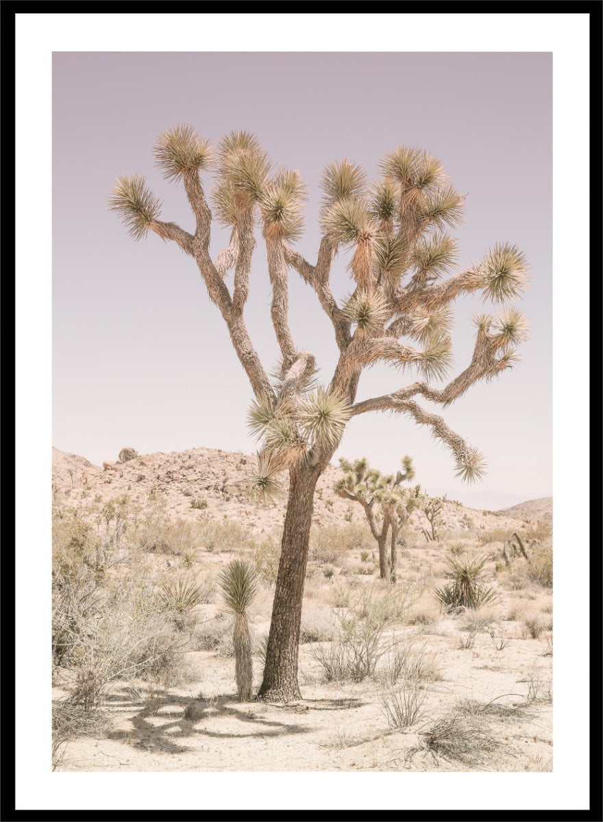 A framed art print depicting a desert landscape with a prominent Joshua tree in the foreground, set against a pale lavender sky and sandy hills. Desert Serenity by Shot by Clint features a Joshua tree desert landscape in soft earthy tones with a pale sky and calm, sun-washed atmosphere.