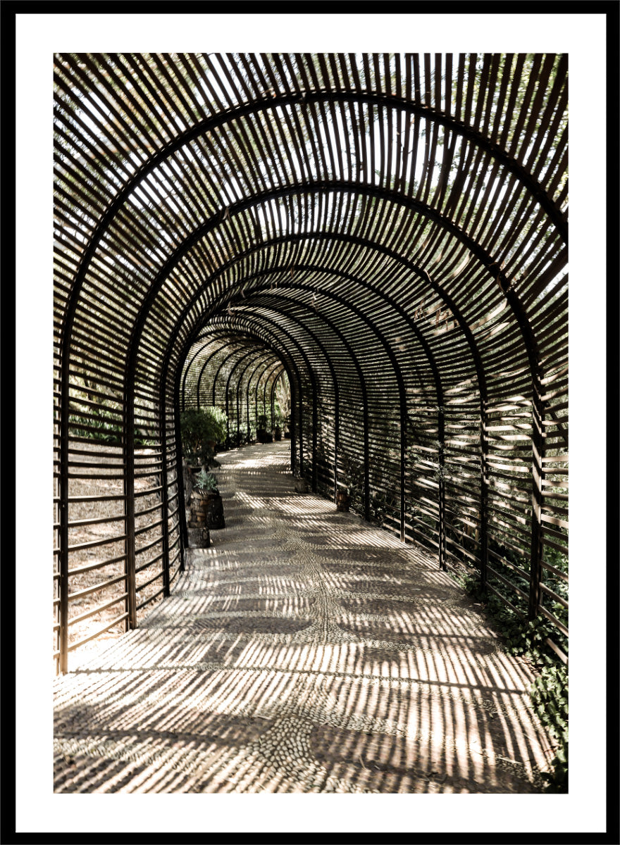 A framed art print featuring a perspective view of a garden pathway enclosed in a dark arched trellis structure, casting striped shadows on the ground. Shadow Garden by Shot by Clint architectural photography print featuring a curved wooden walkway, striped shadows, garden plants, and textured natural light.