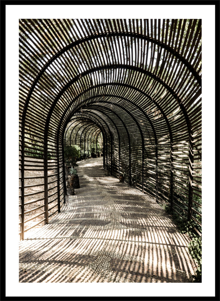 A framed art print featuring a perspective view of a garden pathway enclosed in a dark arched trellis structure, casting striped shadows on the ground. Shadow Garden by Shot by Clint architectural photography print featuring a curved wooden walkway, striped shadows, garden plants, and textured natural light.