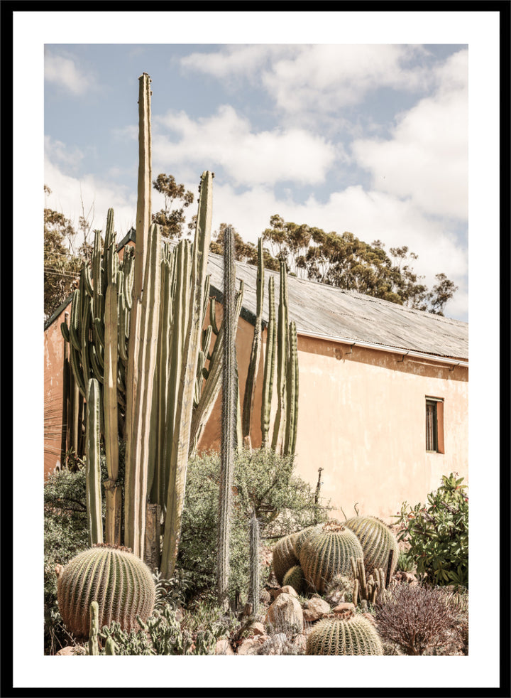 Shot by Clint - Desert Retreat Art Print