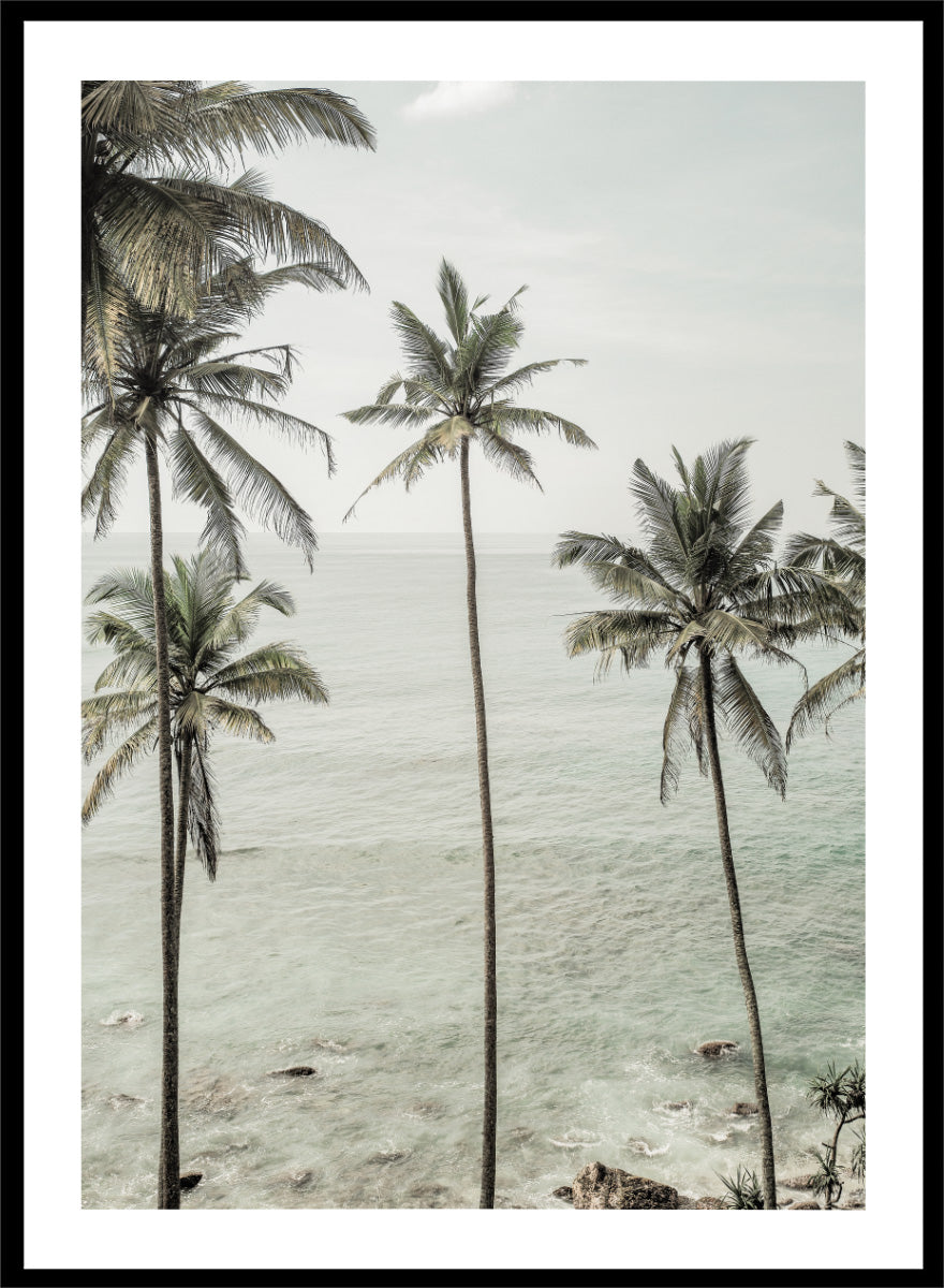 A framed photographic print of tropical coconut palm trees along a calm sea coastline. Tropical Dreams by Shot by Clint coastal photography print featuring tall palm trees, soft ocean waves, and muted tropical tones.